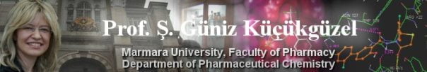 Prof. Ş. Güniz Küçükgüzel